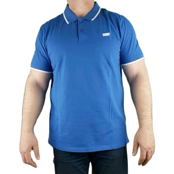 Męska koszulka Levi's - Slim Housemark Polo - A48420008 Deja Vu Blue - niebieska