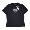 Męska koszulka Tommy Jeans - Classic Modern Sport USA - Regular Fit T-shirt - DM0DM16406-BDS Black